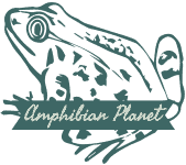 Amphibian Planet